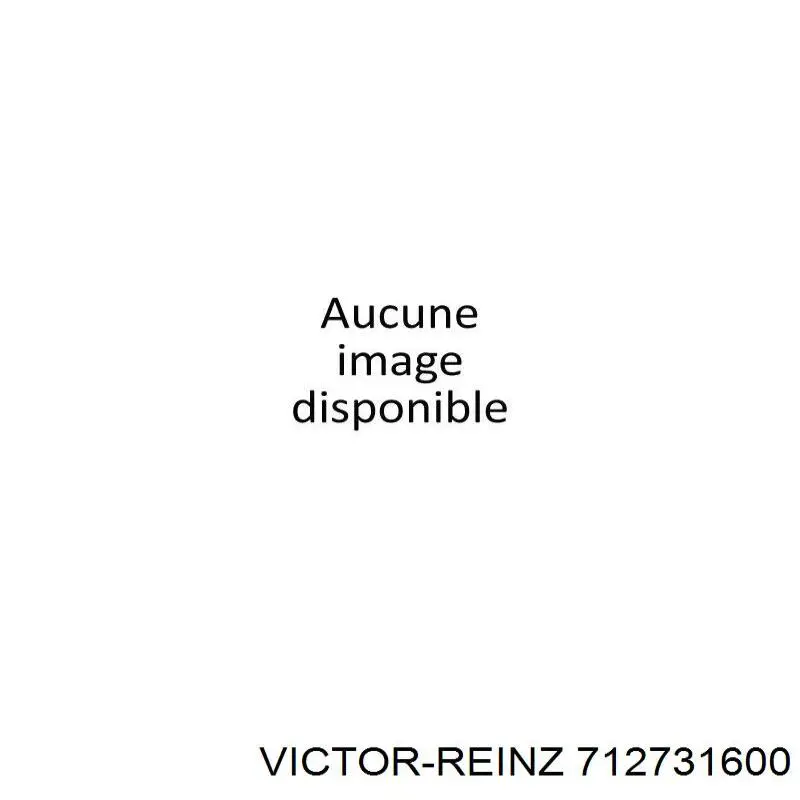 71-27316-00 Victor Reinz прокладка впускного коллектора