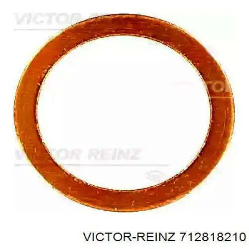 71-28182-10 Victor Reinz прокладка впускного коллектора
