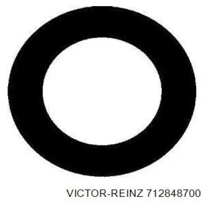 712848700 Victor Reinz кольцо уплотнительное свечного колодца