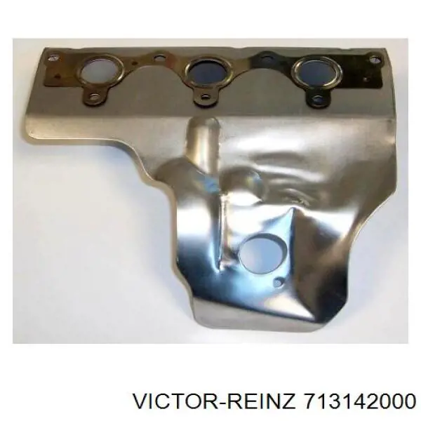 713142000 Victor Reinz