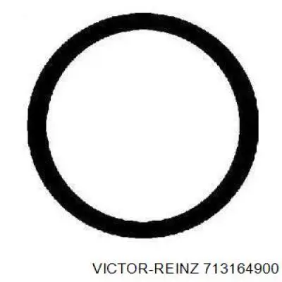 Купить 713164900 Victor Reinz Прокладка клапанной крышки двигателя, кольцо