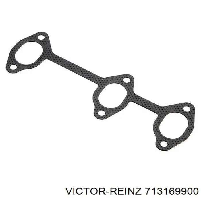 713169900 Victor Reinz
