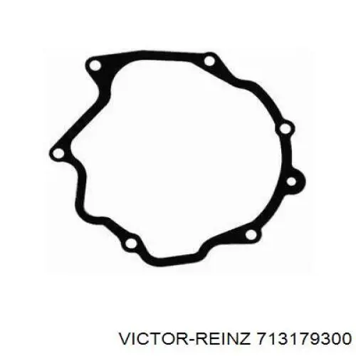 Прокладка вакуумного насоса Victor Reinz 713179300