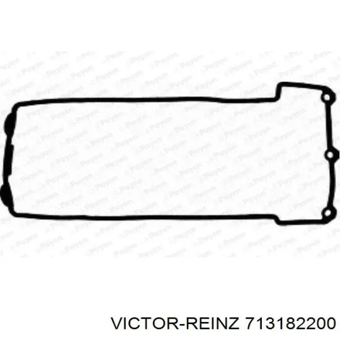 Прокладка клапанної кришки, ліва 713182200 Victor Reinz