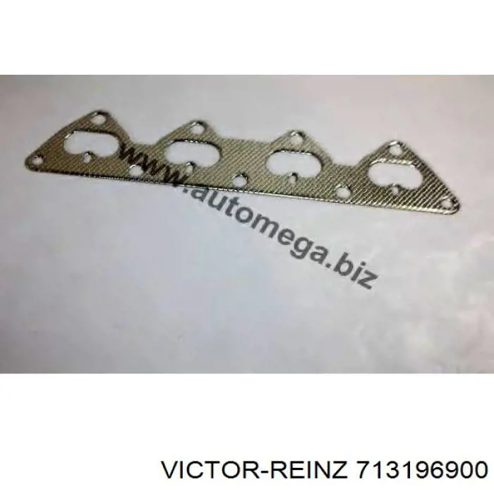 713196900 Victor Reinz