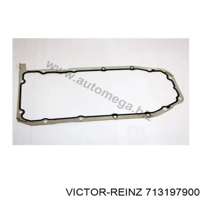 713197900 Victor Reinz