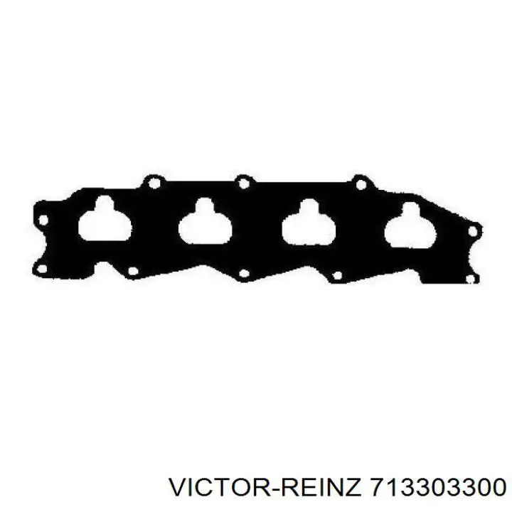 713303300 Victor Reinz