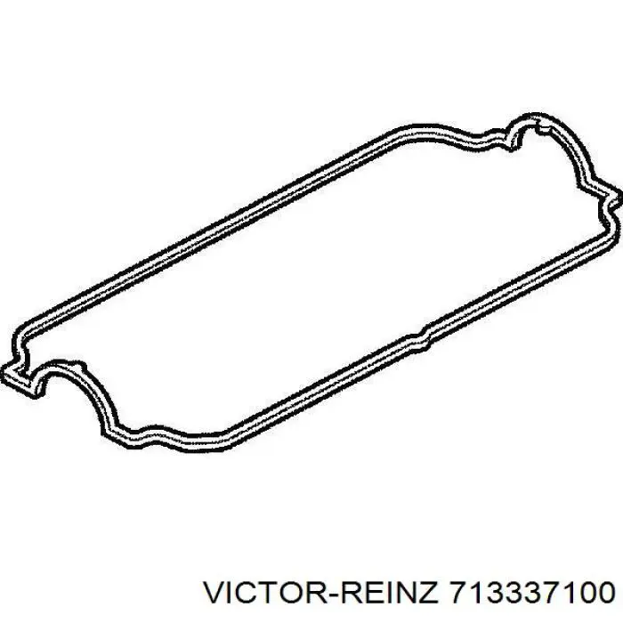 713337100 Victor Reinz