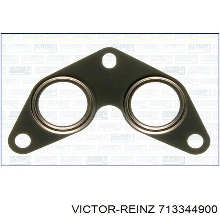 713344900 Victor Reinz
