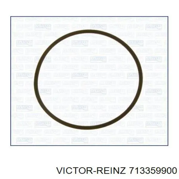 Купить 713359900 Victor Reinz Прокладка впускного коллектора