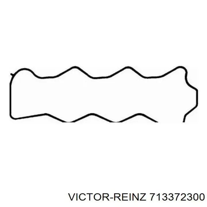 713372300 Victor Reinz