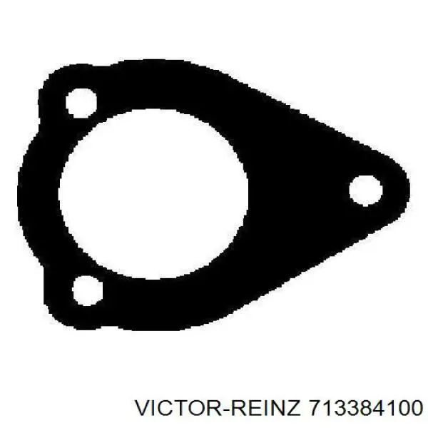 713384100 Victor Reinz Прокладка штанов
