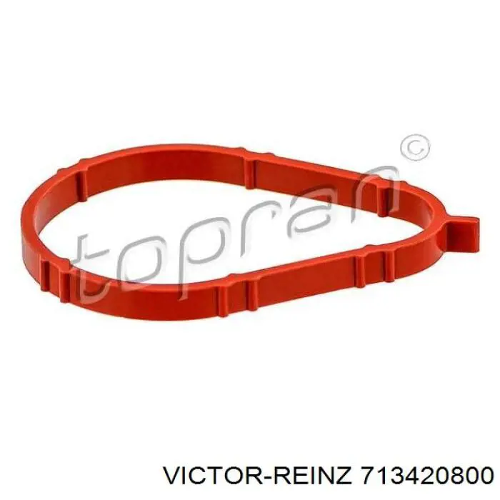 Прокладка всасывающего коллектора Victor Reinz 713420800 цена, от 4.26 USD