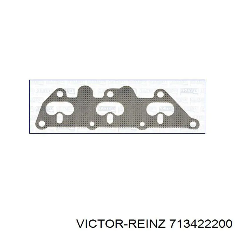 713422200 Victor Reinz