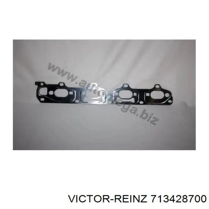 713428700 Victor Reinz
