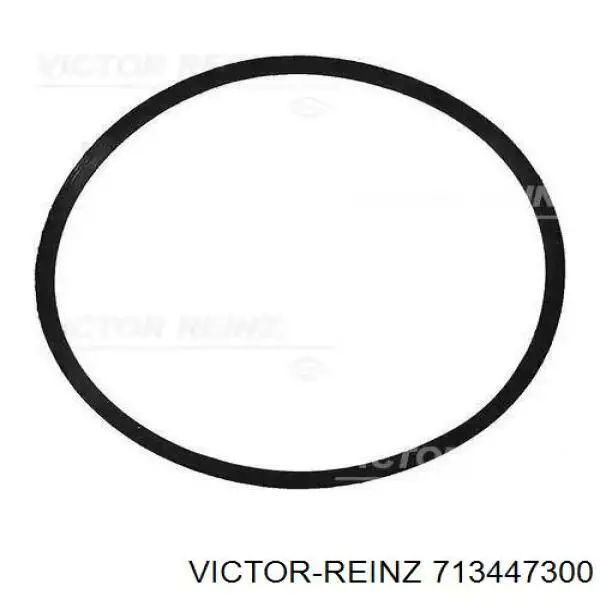 Прокладка впускного коллектора Victor Reinz 713447300