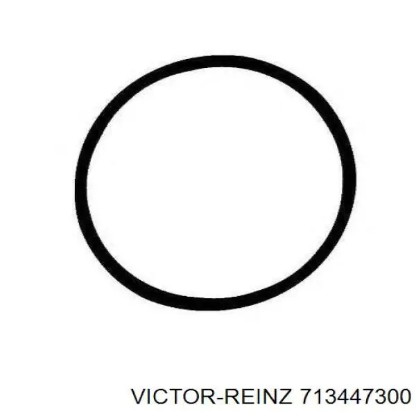 Прокладка всасывающего коллектора Victor Reinz 713447300 цена, от 2.17 USD