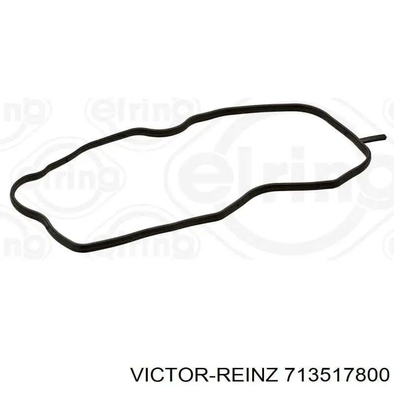 713517800 Victor Reinz