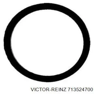 71-35247-00 Victor Reinz прокладка впускного коллектора