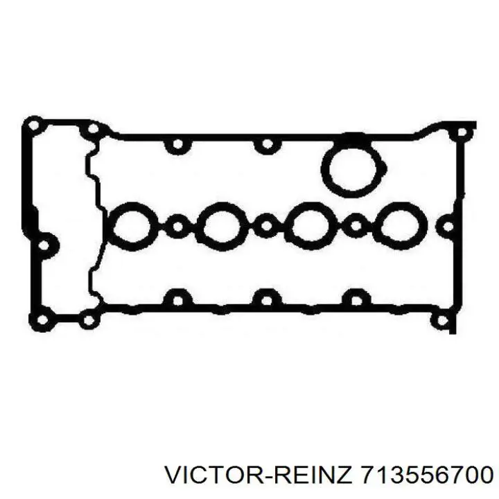 713556700 Victor Reinz