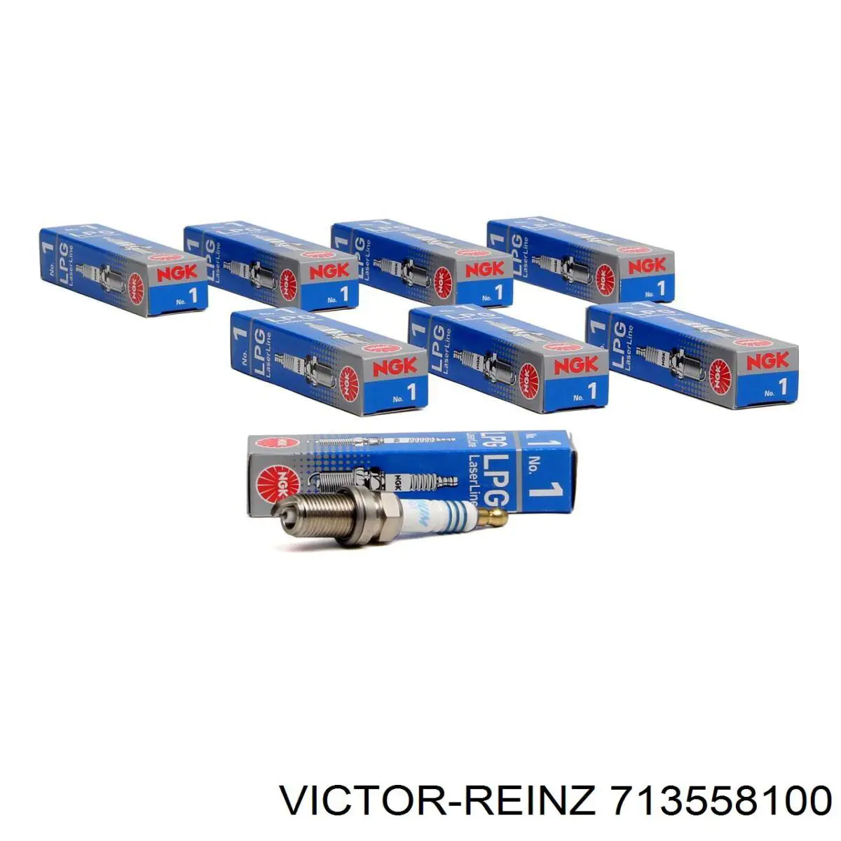 713558100 Victor Reinz