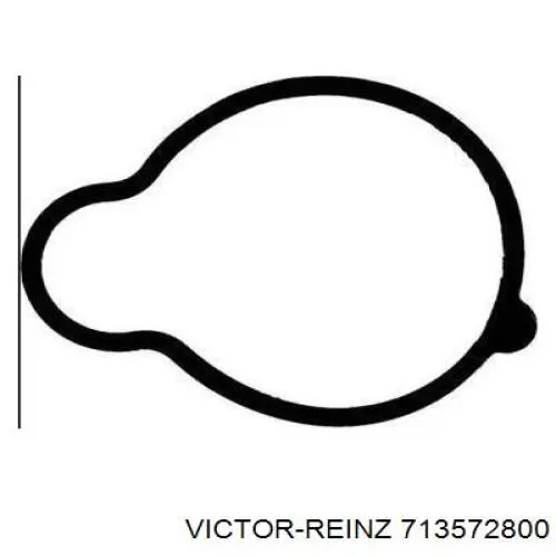 713572800 Victor Reinz vedante de tubo coletor de admissão