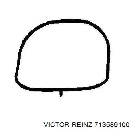 713589100 Victor Reinz