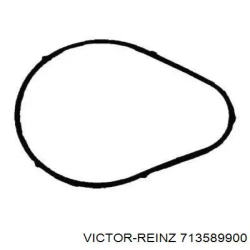 713589900 Victor Reinz прокладка впускного коллектора
