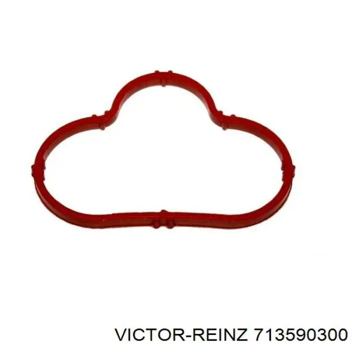 Прокладка всасывающего коллектора Victor Reinz 713590300 цена, от 2.62 USD