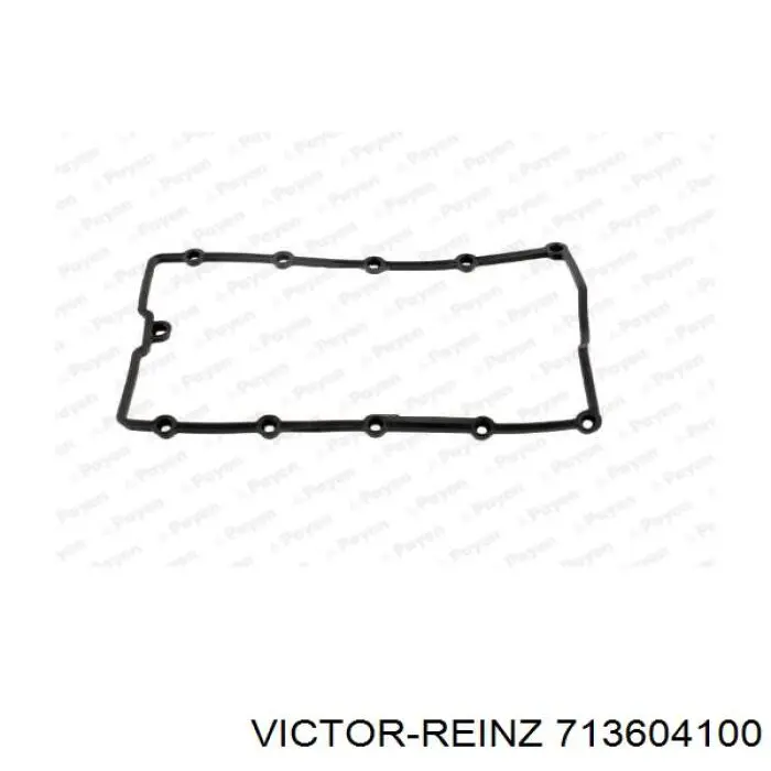 713604100 Victor Reinz