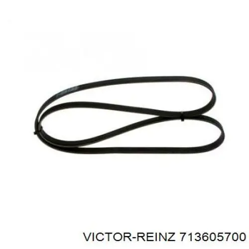 713605700 Victor Reinz прокладка впускного коллектора