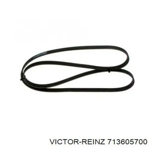 Прокладка всасывающего коллектора Victor Reinz 713605700 цена, от 33.25 USD