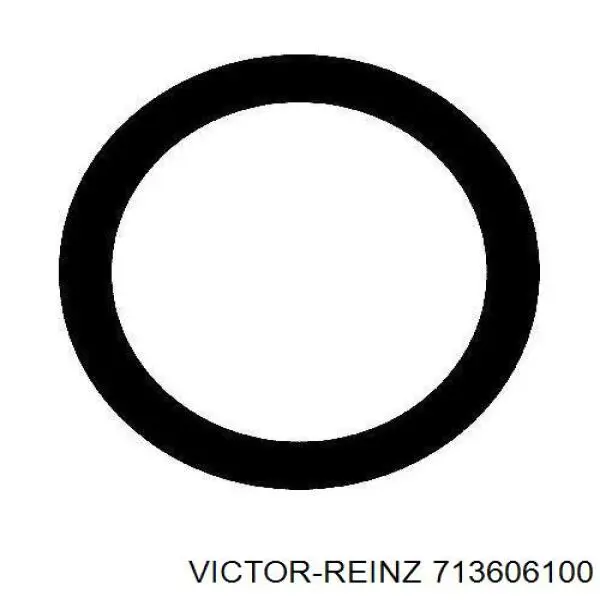 713606100 Victor Reinz