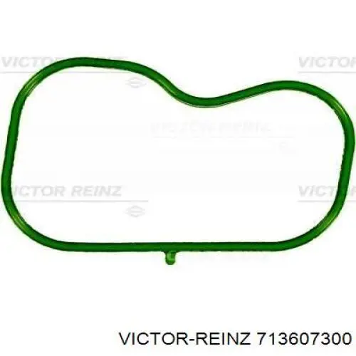713607300 Victor Reinz  Прокладка впускного коллектора