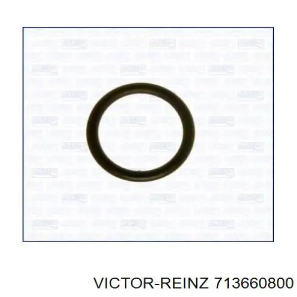 Прокладка впускного коллектора нижняя Victor Reinz 713660800 цена, от 4.07 USD
