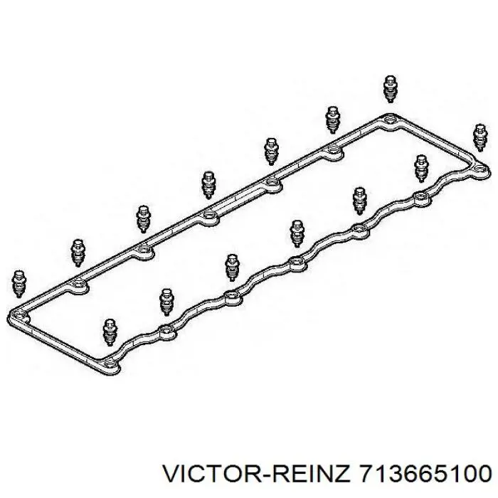 71-36651-00 Victor Reinz прокладка клапанной крышки двигателя