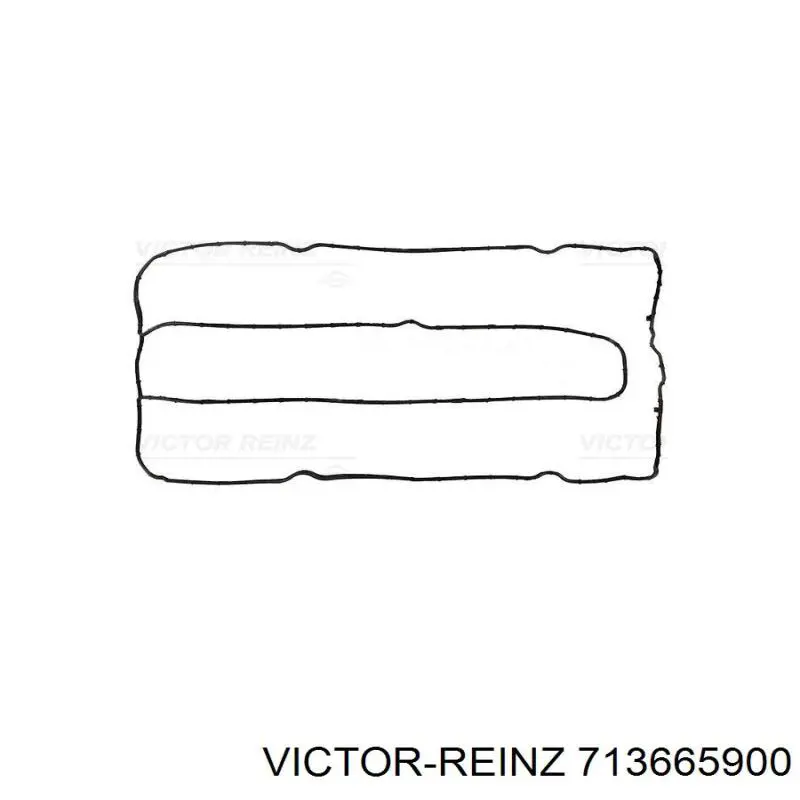 Купить 713665900 Victor Reinz Прокладка клапанной крышки двигателя