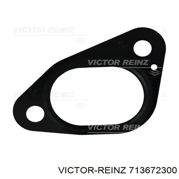 713672300 Victor Reinz