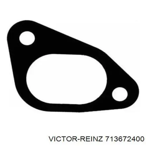 713672400 Victor Reinz