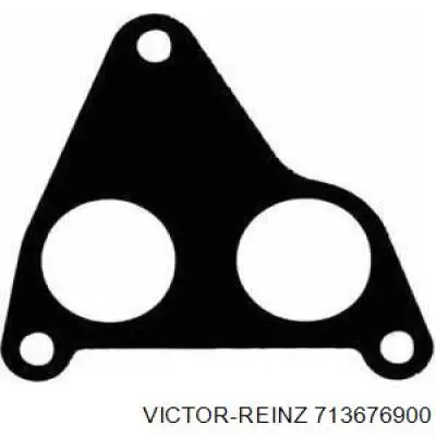 713676900 Victor Reinz