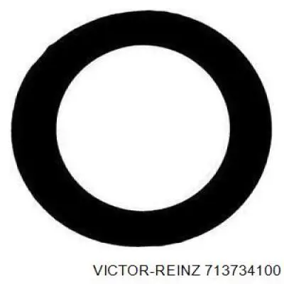 Кольцо уплотнительное свечного колодца Victor Reinz 713734100