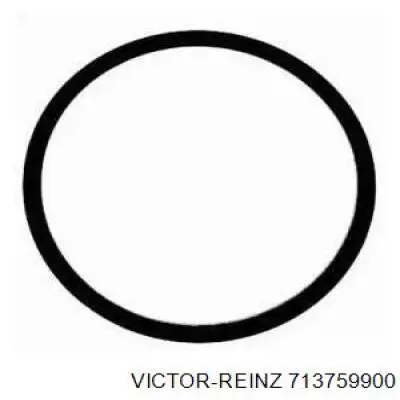 Прокладка всасывающего коллектора Victor Reinz 713759900 цена, от 2.53 USD