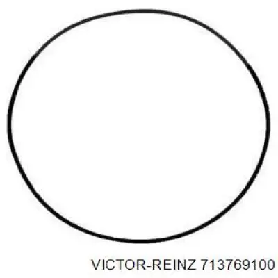 713769100 Victor Reinz Прокладка крышки клапана
