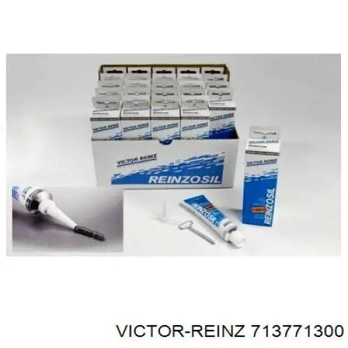 713771300 Victor Reinz