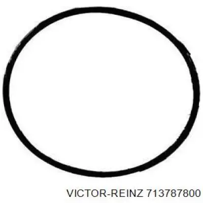 713787800 Victor Reinz прокладка коллектора