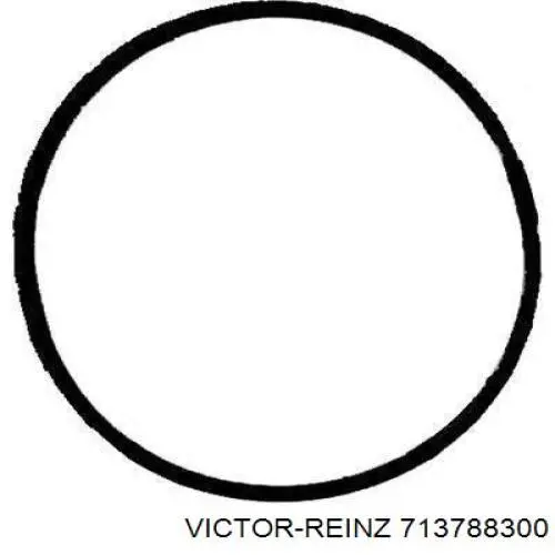 713788300 Victor Reinz Прокладка коллектора выпуск