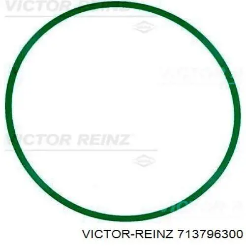 Купить 713796300 Victor Reinz 
