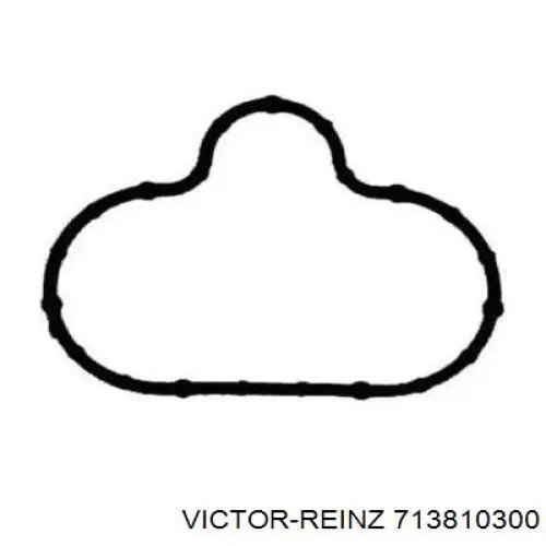 71-38103-00 Victor Reinz прокладка впускного коллектора нижняя