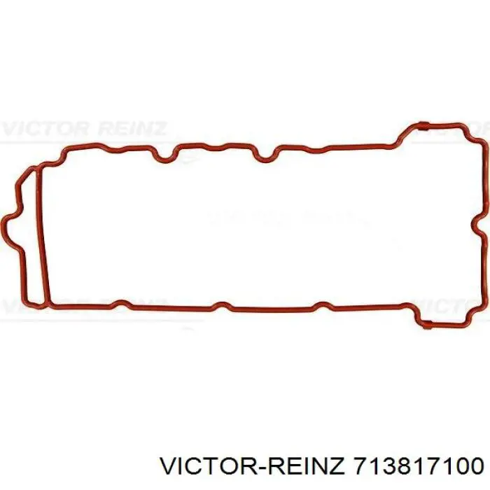 713817100 Victor Reinz