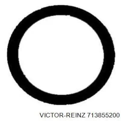 Прокладка клапанной крышки двигателя, кольцо Victor Reinz 713855200